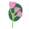 custom_website